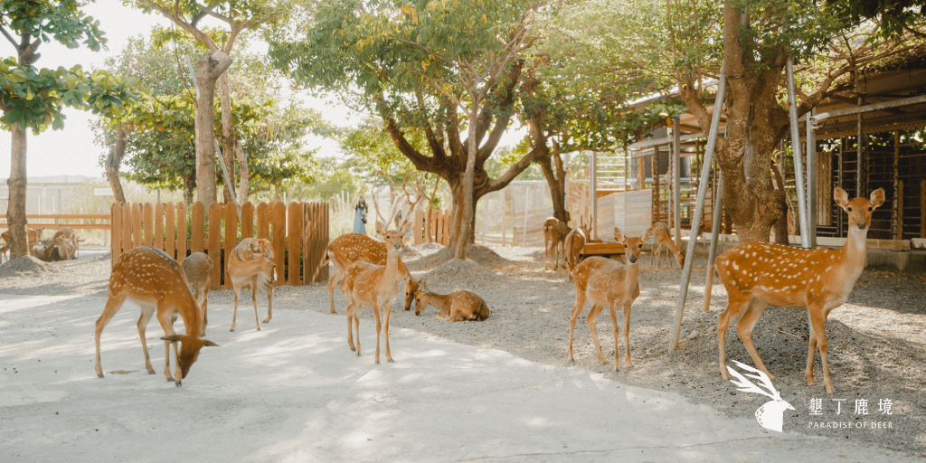 鹿境梅花鹿園區180